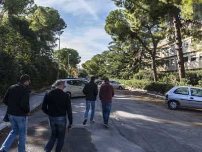 In tutto il Campus � un tutto susseguirsi di giardini e vialetti: il silenzio � interrotto solo dalle risate dei ragazzi che si rilassano e dal cinguettio degli uccelli che si inseguono da un ramo all'altro